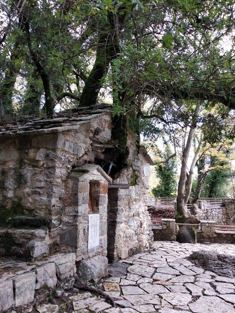 Saint Theodora Vasta